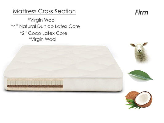  Coco Dream Futon Mattress 