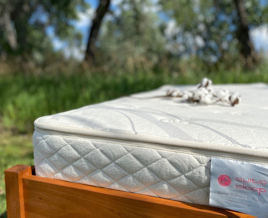  Sweet Dreams 7" Botanical Latex Mattress 